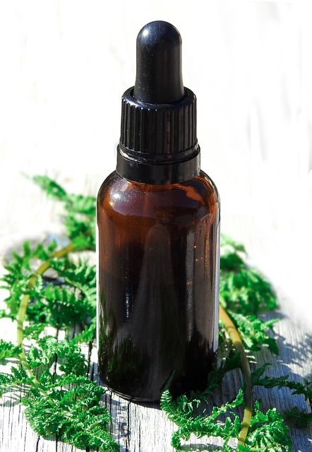 tea tree oil for mosquitoes in a brown bottle surrounded by greenery