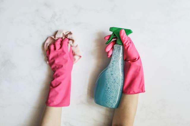 Person with pink gloves holding a rag and spray bottle with blue liquid for rodent clean-up